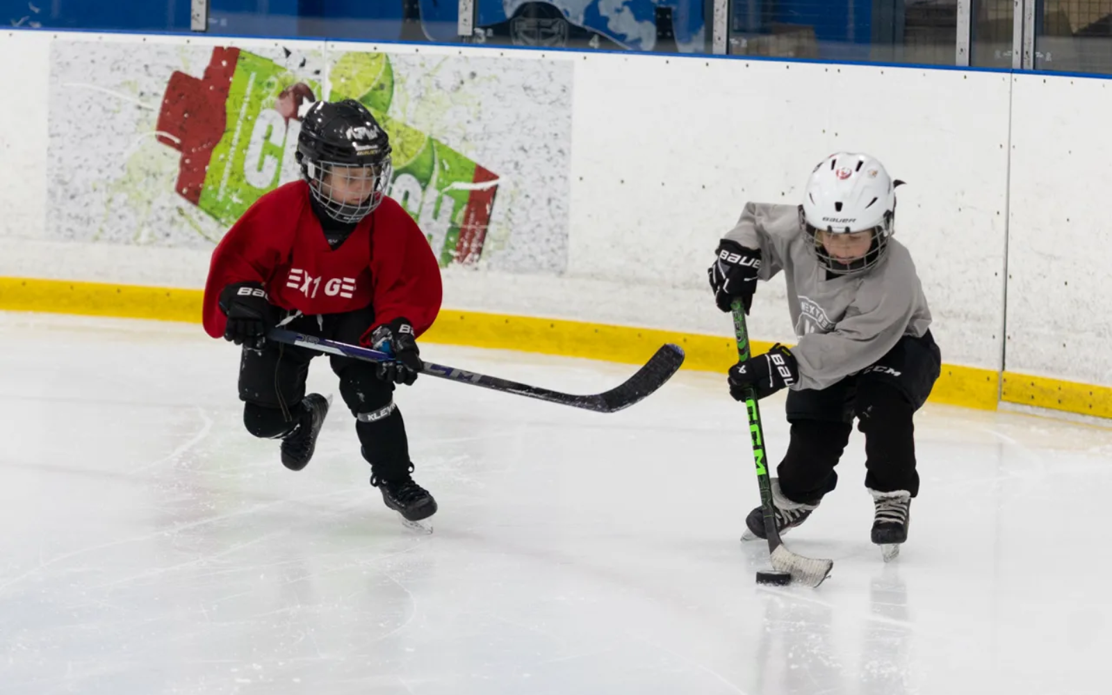 GRASSROOTS DEVELOPMENT - WINTER